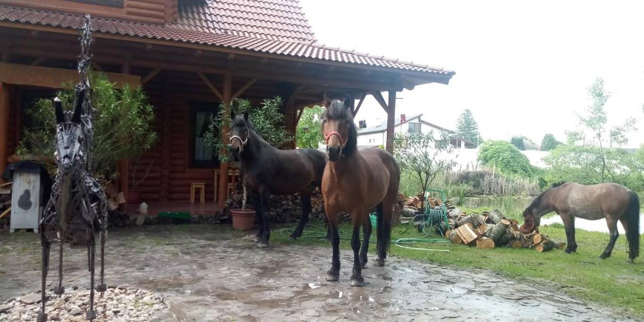 Dom Argyelus - Argyelus Haz - Fesztypark Hotel Martovce Buitenkant foto